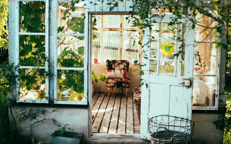 A white porch with big glass windows is overrun with plants. The front door is open, and inviting the viewer in towards a cha